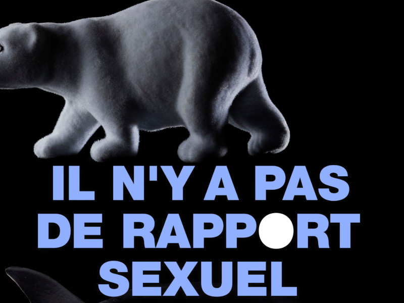 Le rapport sexuel n'existe pas